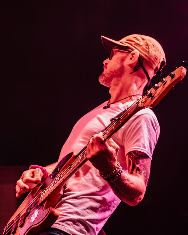 Bassist and Purple