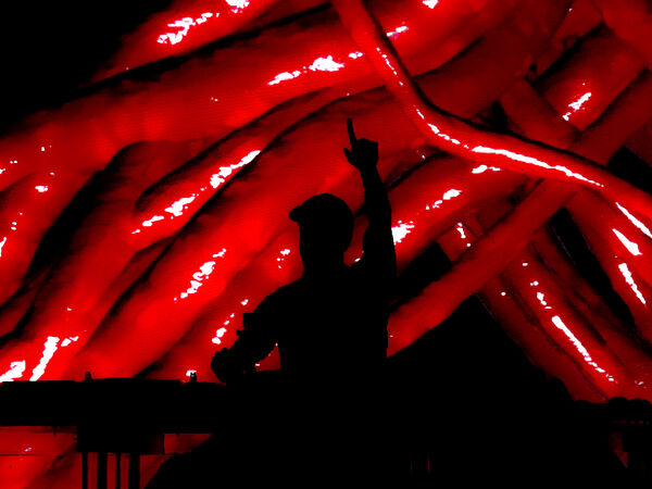 Excision Guts