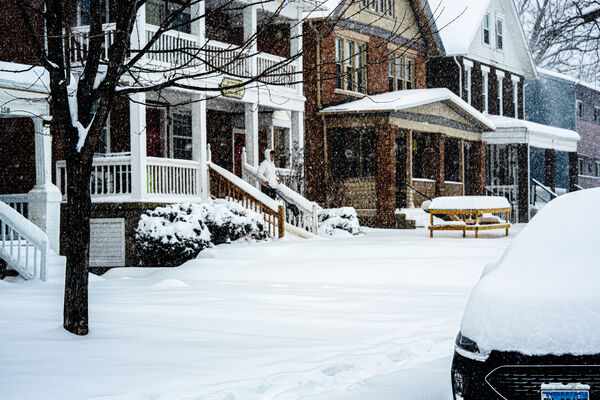His Survey of the Snow