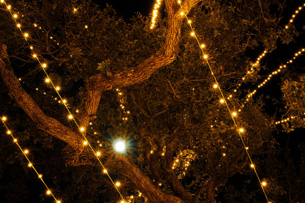 Holder of the Moon and Splendor