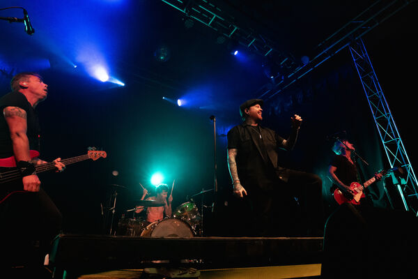 Matty Loves This Band
