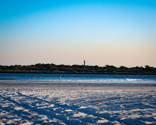 Milo Along the Shores