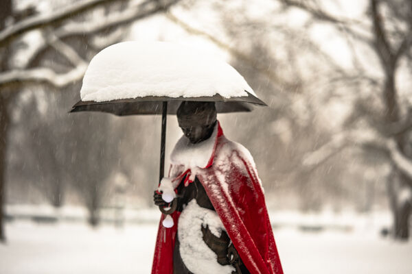 She Weathers the Snows