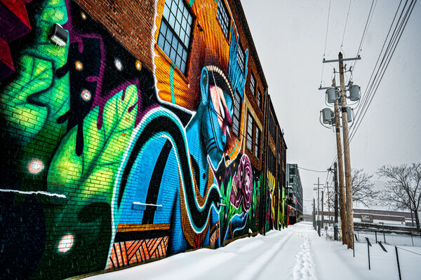 The Beholder and the Snow