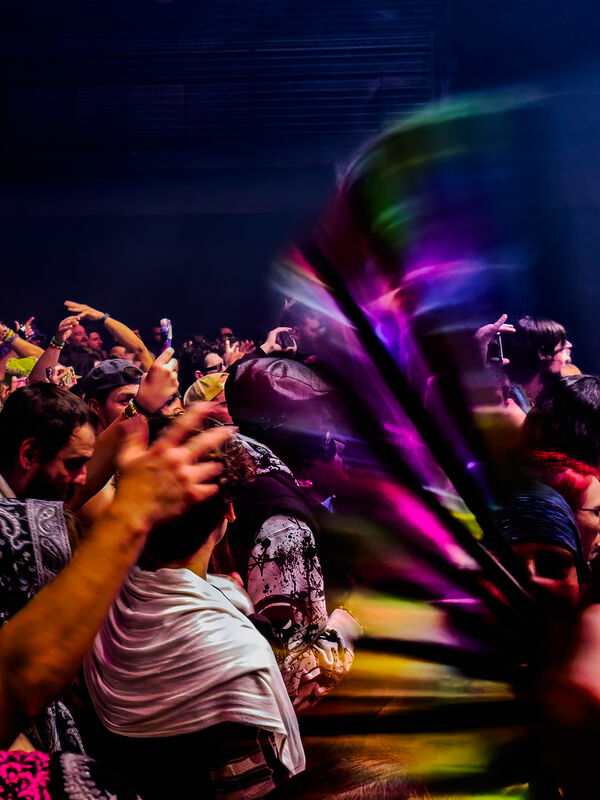 The Fans