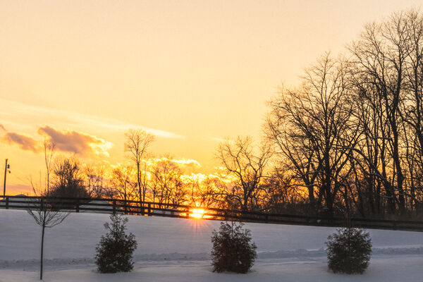 The Fence at Sunset