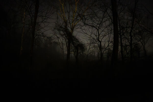 The Tangle