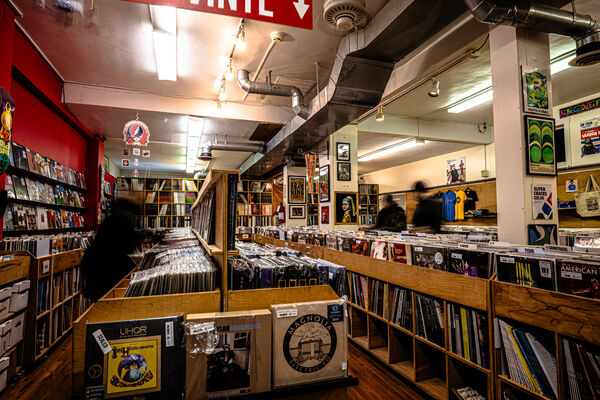 They Shopped for Vinyl