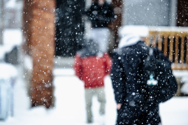 To Walk Quietly with Them, Through the Snow