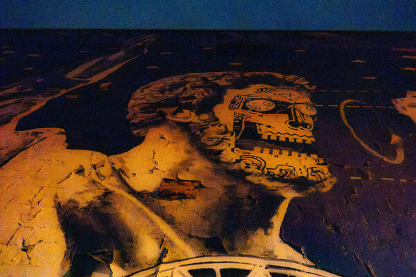 What Does He Dream About?