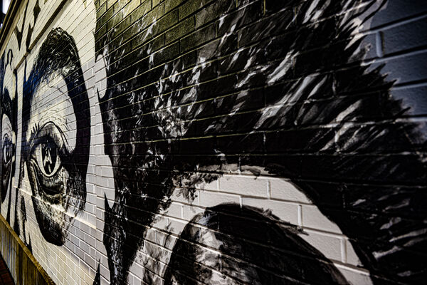 Where He Saw Me, On the Wall